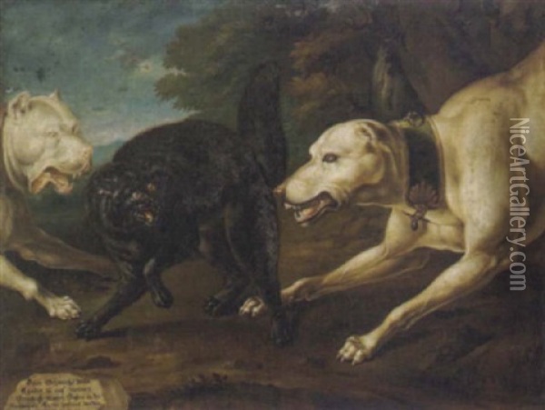 Zwei Hunde Jagen Einen Wilden, Schwarzen Kater Oil Painting - Philipp Ferdinand de Hamilton