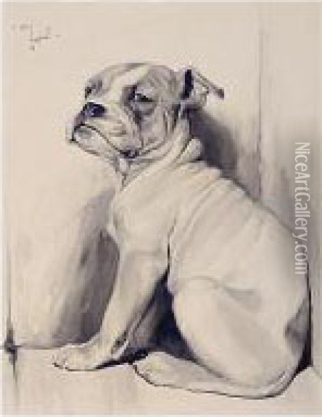 A Boxer Pup Oil Painting - Cecil Charles Aldin