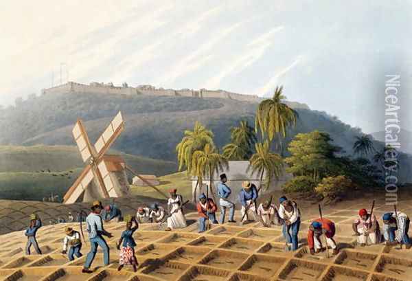 Slaves Planting Cane Cuttings, from 'Ten Views in the Island of Antigua', 1823 Oil Painting - William Clark