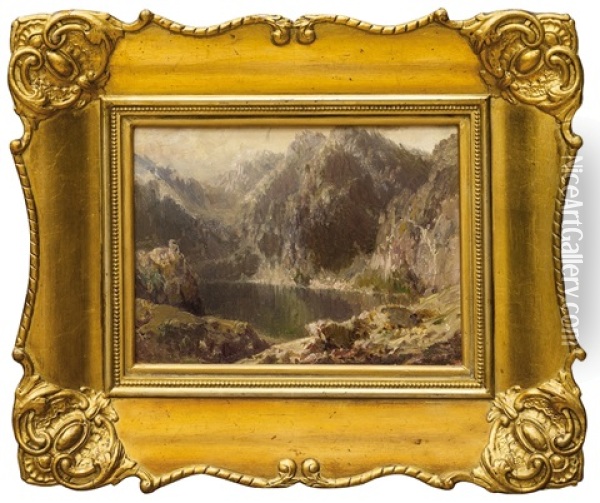 Horske Jezero Oil Painting - August Bedrich Piepenhagen