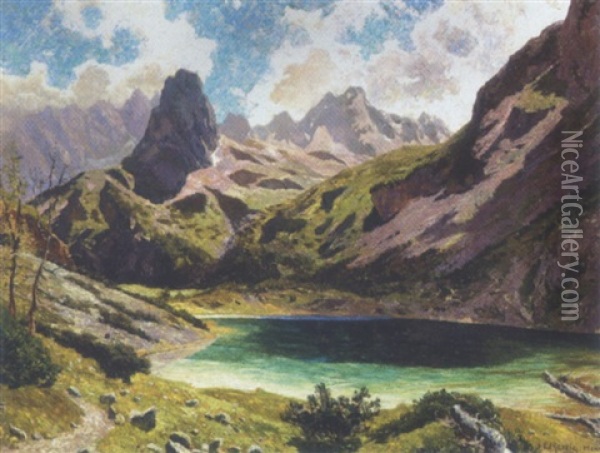 Alpelandskab Med Hojtliggende So I Bjergtindernes Skygge Oil Painting - Heinrich Rettig