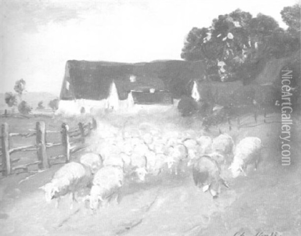 Schafe Werden Auf Die Weide Gefuhrt Oil Painting - Christian Friedrich Mali