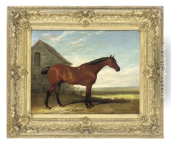 A Favorite Hunter Oil Painting - Thomas Woodward