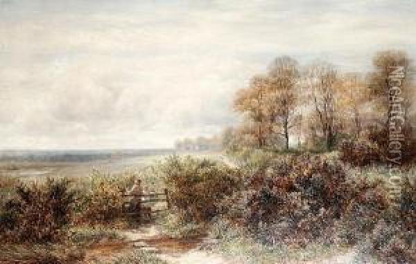 Tom Knocker's Wood, The Hilly Fields,harborne, Birmingham Oil Painting - Charles Thomas Burt