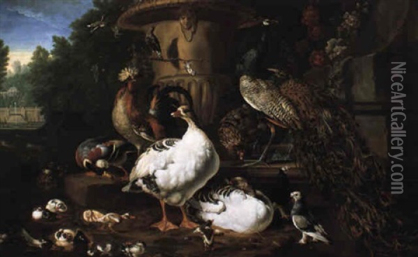 A Peacock And Other Exotic Birds In Elaborate Parkland Setting Oil Painting - Melchior de Hondecoeter