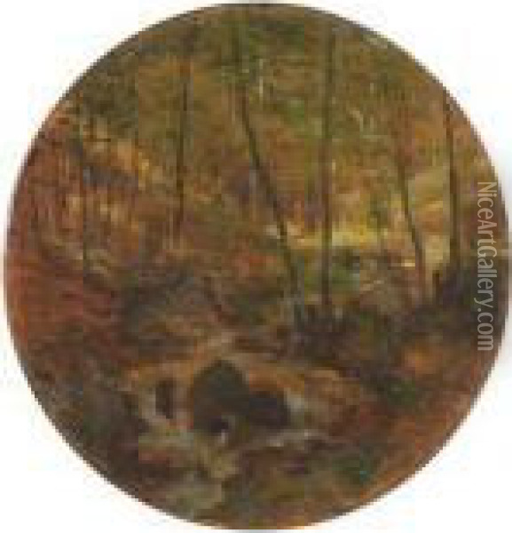 Sonnendurchfluteter Wald Mit Bachlauf Oil Painting - Fritz Wucherer