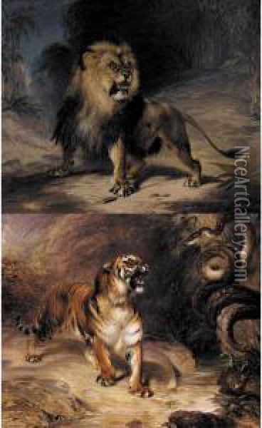 A Tiger And Serpent; And A Lion: A Pair Oil Painting - William Huggins
