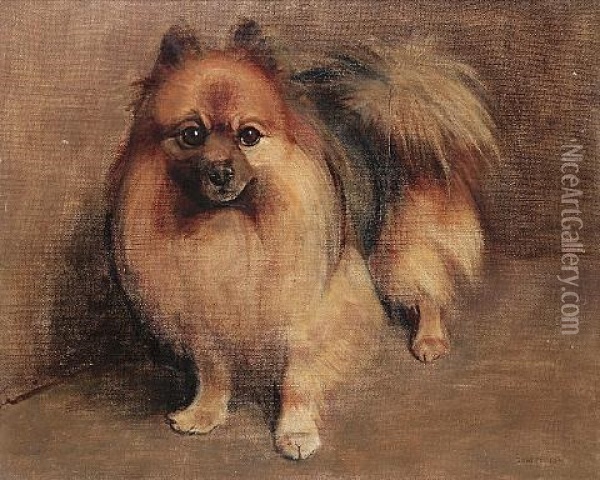 "chips", A Pomeranian Oil Painting - Samuel Fulton