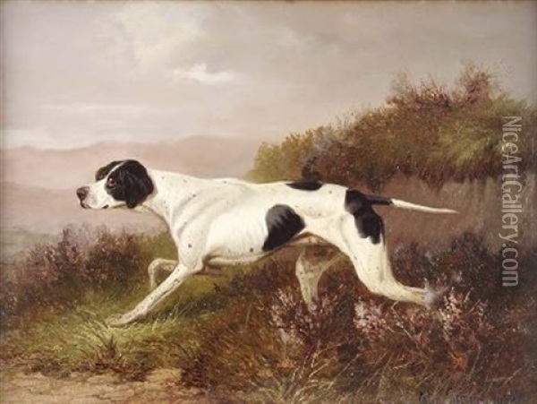 Study Of A Pointer In Heather (+ A Setter; Pair) Oil Painting - Colin Graeme