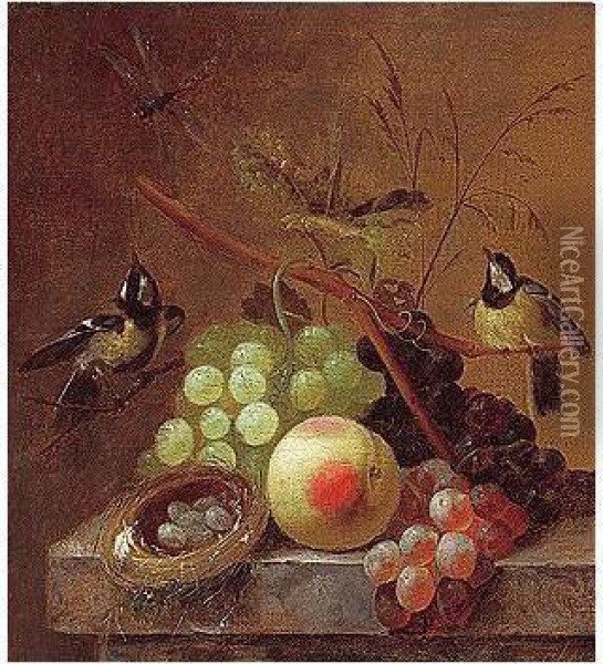 Still Life Of Grapes, A Peach And A Dragonfly, Together With Blue Tits And A Bird's Nest, Arranged Upon A Stone Ledge Oil Painting - Johannes Hendrick Fredriks