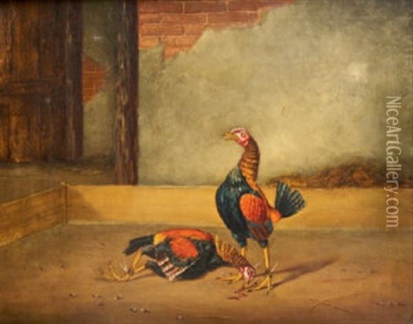 Cock Fighting Oil Painting - Hilton Lark Pratt