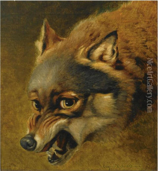 Study Of A Fox Oil Painting - Eugene Joseph Verboeckhoven