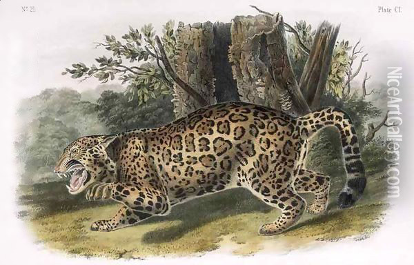 The Jaguar Oil Painting - John Woodhouse Audubon