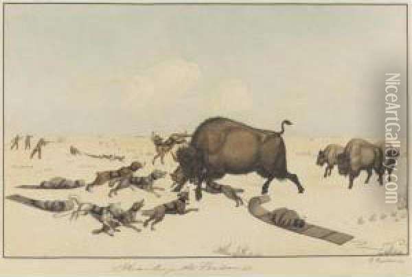 Hunting The Bison Oil Painting - Peter Rindisbacher
