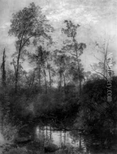 Swamp Landscape In Summer Oil Painting - Hermann Herzog