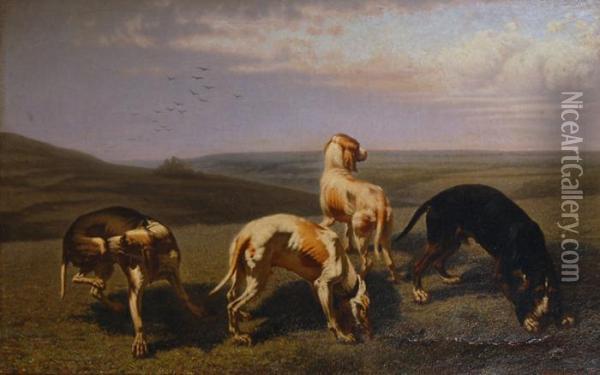 Cani Da Caccia Oil Painting - Christophe Cathelinaux