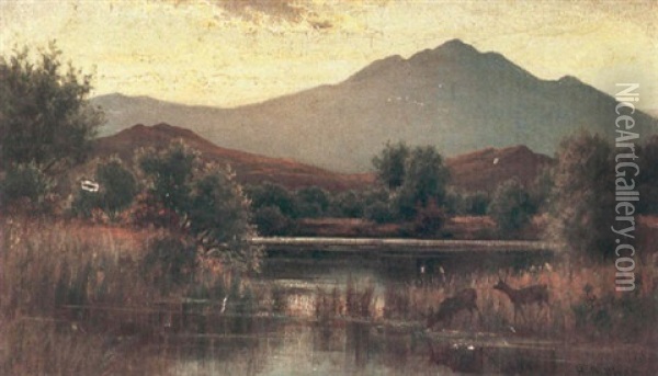 Deer Watering In A Mountainous Landscape Oil Painting - Hiram Reynolds Bloomer