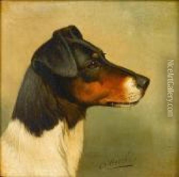Head Studies Of Terriers Oil Painting - John Arnold Wheeler