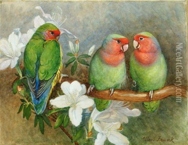 Three Parakeets Perched On A Flowering Branch Oil Painting - Ellen A. Frank