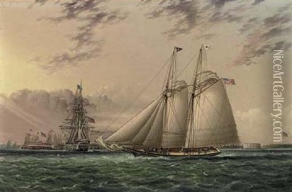 Mr. William Astor's Schooner "ambassadress" In New York Harbor With Castle William And Castle Garden Off Governor's Island Oil Painting - James Edward Buttersworth