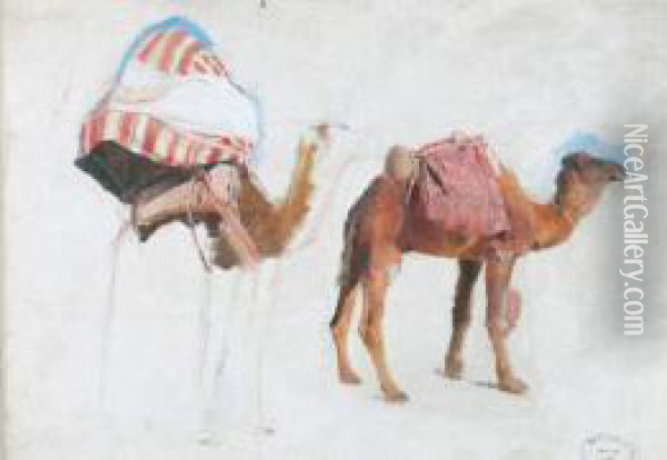 Etude Pour La Caravane, Vers 1895 Oil Painting - Paul Alexandre Alfr. Leroy