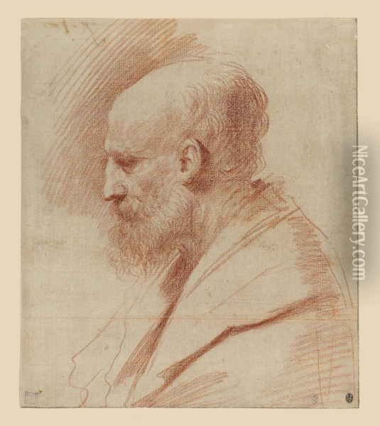 Head Of St. Joseph Oil Painting - Guercino