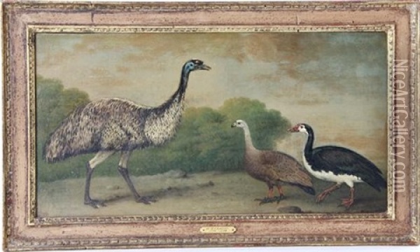 Fowl In Landscape Oil Painting - Henry Bernard Chalon