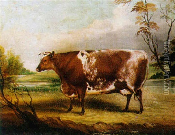A Prize Bull In A River Landscape Oil Painting - John Vine