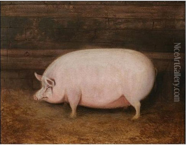 Pig In A Barn Interior Oil Painting - E. Brown