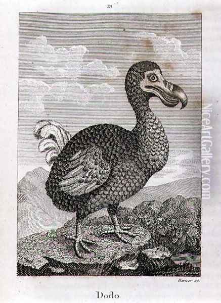 The Dodo, from A History of the Earth and Animated Nature, by Oliver Goldsmith, published in London, 1816 Oil Painting - Jacques de Seve