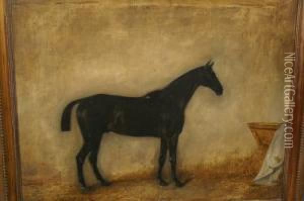 Black Sun, Hunter In A Loose Box Oil Painting - Claude L. Ferneley