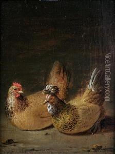 Decorative Fowl Oil Painting - Dirck Wyntrack