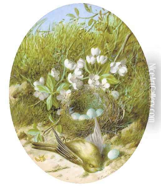 Still life of blossom, a bird and a bird's nest Oil Painting - William Cruickshank