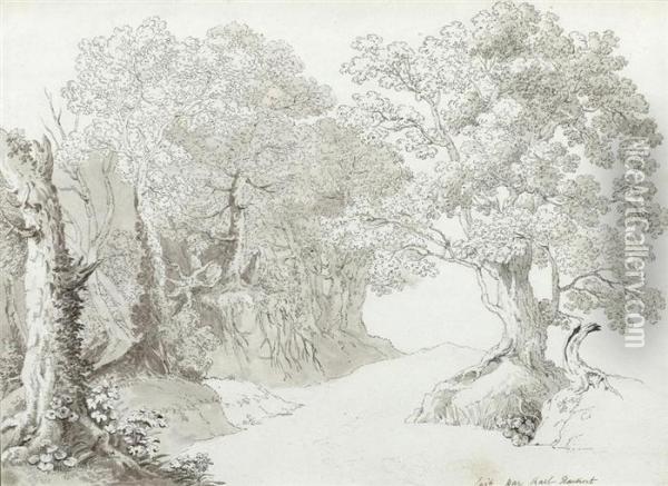 Landscape Study With Deciduous Trees. Oil Painting - Carl Ludwig Hackert