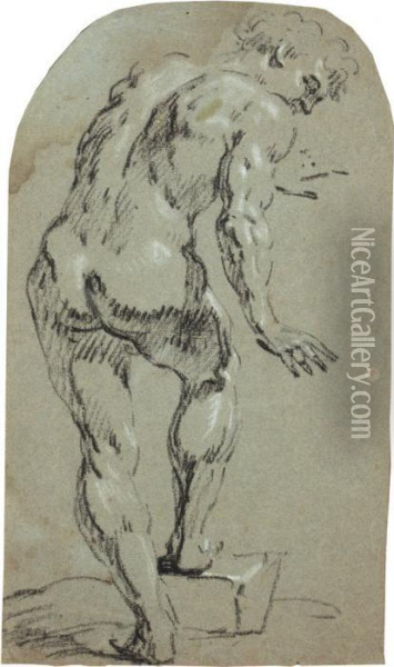 Stehender Nackter Mann Oil Painting - Michelangelo