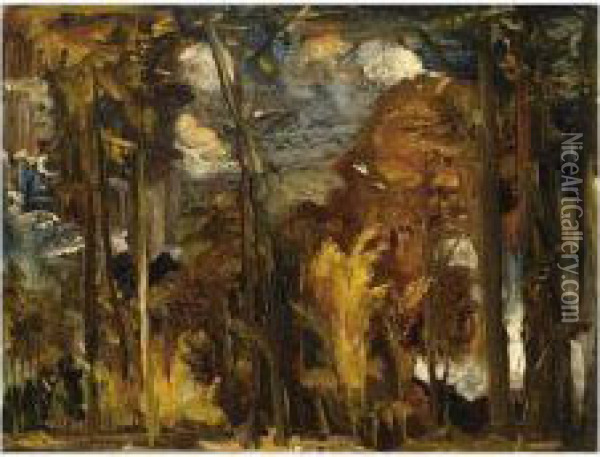 A View Of A Landscape In Limburg Oil Painting - Willem Van Konijnenburg