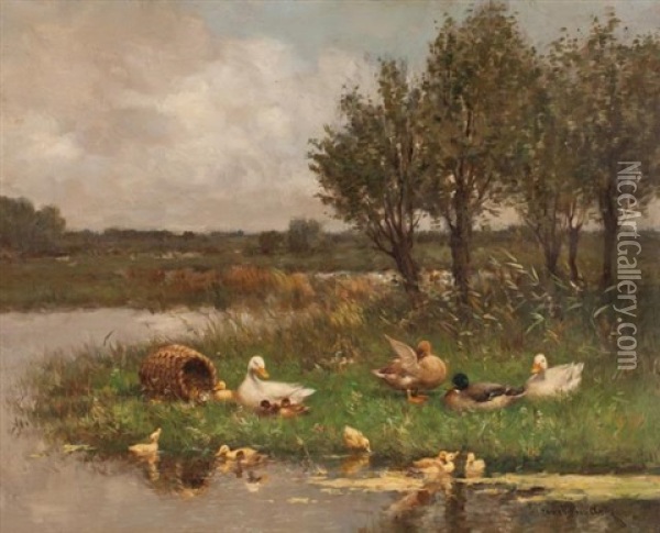Ducklings At Play Oil Painting - David Adolf Constant Artz