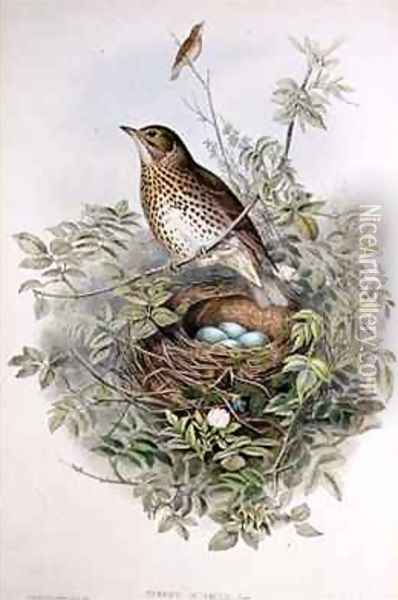 Thrush with its nest Oil Painting - John Gould