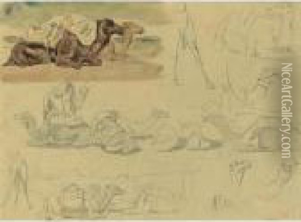 Studies Of Camels Oil Painting - Eugene Delacroix