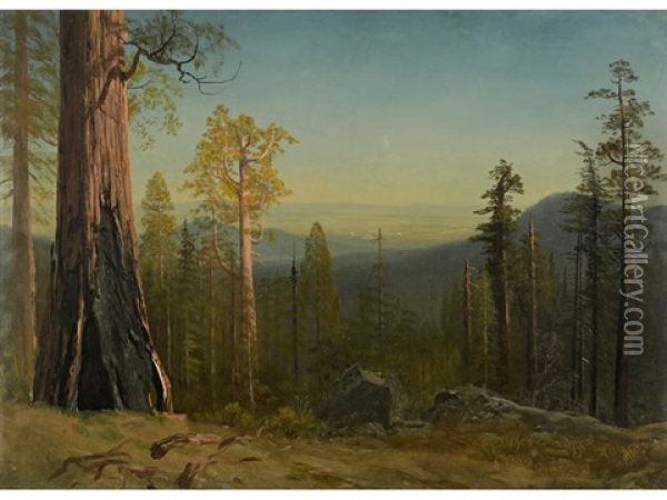 View Through The Trees Oil Painting - Albert Bierstadt