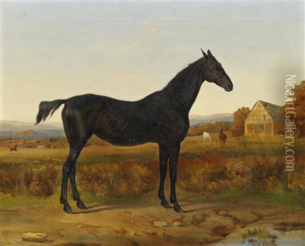 Pferdeportrat Vor Weiter Englischer Landschaft Oil Painting - John E. Ferneley