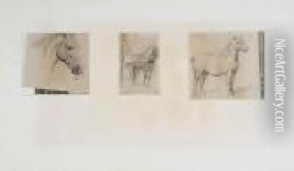 Studies With Horses Oil Painting - Otto Eerelman