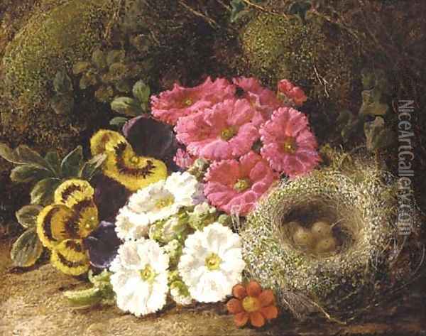 Primulas and a bird's nest on a mossy bank Oil Painting - George Clare