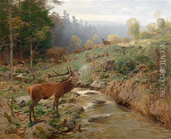 Rotwildrudel Auf Einer Waldlichtung Oil Painting - Christian (Johann Christian) Kroener