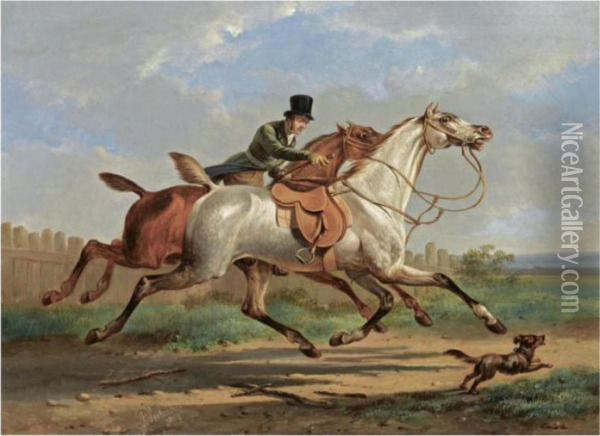 Galloping Horses Oil Painting - Albertus Verhoesen