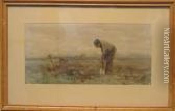 Digging In The Fields Oil Painting - Anton Mauve