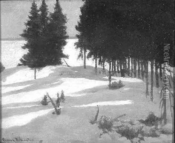 Shadowed Snow Oil Painting - Francis Hans Johnston