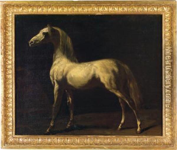 Studio Horse Portrait Oil Painting - Theodore Gericault