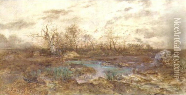 La Mare Aux Fees, Foret De Fontainebleau Oil Painting - Theodore Rousseau