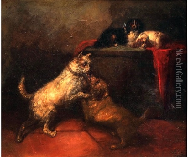 Terriers Fighting Oil Painting - George Armfield
